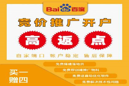 竞价排名案例：行业领先企业经验